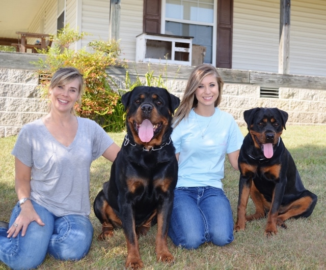 Cedar Hill Rottweiler's – Rottweiler's Okolona, Arkansas